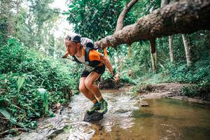 BIB: 
                            <button type="button" onclick="openModal(25368655)" class="btn btn-primary btn-sm float-right btn-popup" data-toggle="modal" data-target=".modal-high-quality">
                        <i class="fas fa-shopping-cart"></i> Add to Cart
                    </button>
                                            <button type="button" onclick="isThisMe(25368655, true)" class="btn btn-success btn-sm float-right btn-popup btn-isme hidden" data-toggle="tooltip" data-placement="bottom" title="นี่คือรูปของคุณใช่ไหม คลิกที่นี่เพื่อเอาเข้าอัลบั้ม">
                        <i class="fas fa-plus"></i> Add to album
                    </button>
                    <button type="button" onclick="isThisMe(25368655, false)" class="btn btn-warning btn-sm float-right btn-popup btn-isnotme hidden">
                        <i class="fas fa-ban"></i> Remove from album
                    </button>